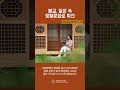 불교, 일상 속 생활문화로 확산