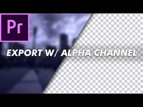 How to Export