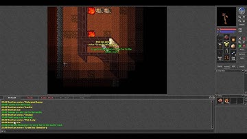 Finding people on Oldtibia.Eu who are anti idling to fake online record.