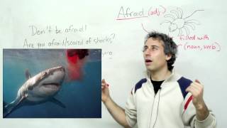 English Vocabulary - afraid, afraid of, scared of, fear