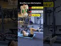 3 movements, accurate abdominal training 🔥both the upper and lower abdomen are trained. #fitness