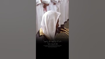 القارئ: محمد برهجي