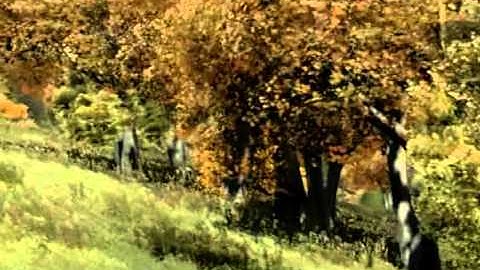 DayZ, Arma 2 and Stalker videos to come