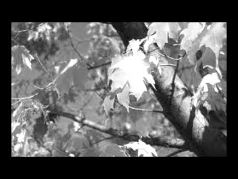 Summer wind "By" Lyle Lovett
