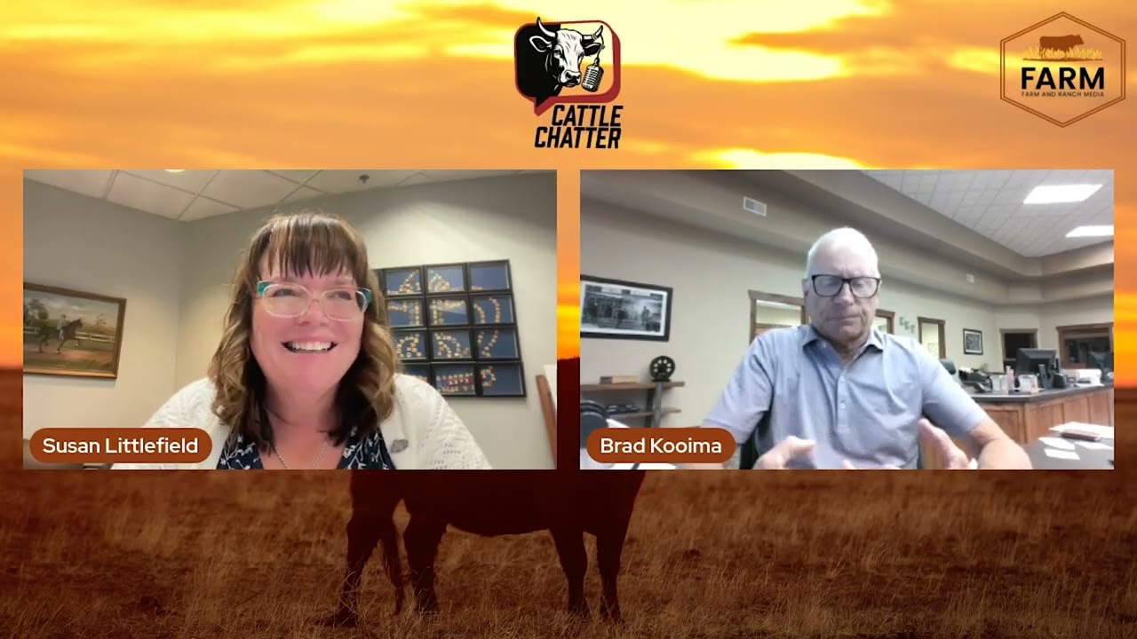 Why Did Cash Cattle Collapse?