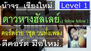 สอนกีต้าร์ ดาวหางฮัลเลย์ ( Level 1 ) คอร์ดง่าย 1ชุด วนทั้งเพลง ตีคอร์ด มือใหม่ - น้าจร เชียงใหม่