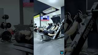 Calf Raise (Sled)