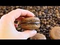 Шоколадно-кофейные макаронс ☆ Chocolate and coffee macarons