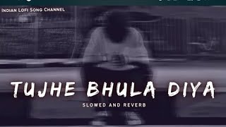 Tujhe Bhula Diya - Slowed And Reverb - Mohit Chauhan | Lofi Songs - Shaadreverbs