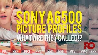 Sony a6500 and a6300 Picture Profiles - What Are Their Names?