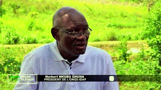Interview avec le Président de l'ONGD I.D.A.P. Monsieur NKUBU ENUNA Norbert