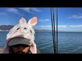 琵琶湖バス釣りライブR5-1/11