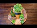 Succulent Arrangement in Terracotta Pot within a Pot