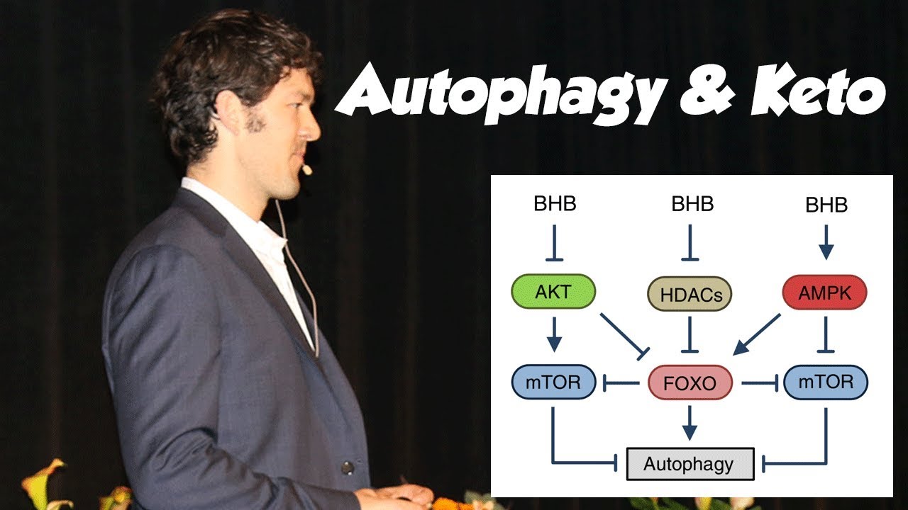 Autophagy & Ketosis (are like Peas and Carrots) YouTube