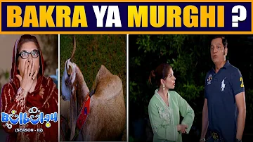 Puttar Yeh Bakra Hai Ya Murghi 🤭😳 Momo #bulbulayseason2