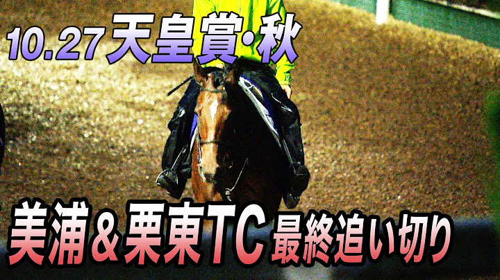【第170回天皇賞（秋）】リバティ？ドウデュース？GⅠ馬6頭が集結！美浦＆栗東TC最終追い切り