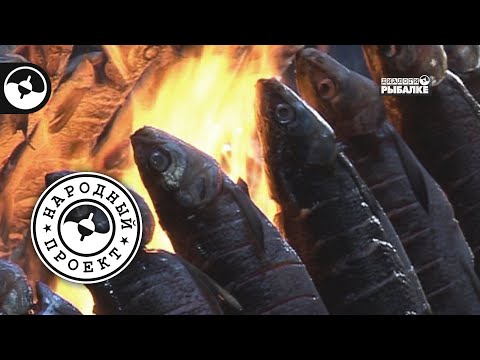 Наши рыболовы в Лапландии | Народный проект