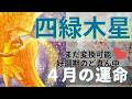 四緑木星✨🌸4月の運命は✨⤴️劇的解放が運命的タイミングで来る❣️この好調期のど真ん中にこのカード展開は強い✨💖絶対に生かして✨利用して❣️