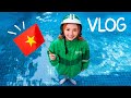 Surviving In Vietnam Not Well Vlog