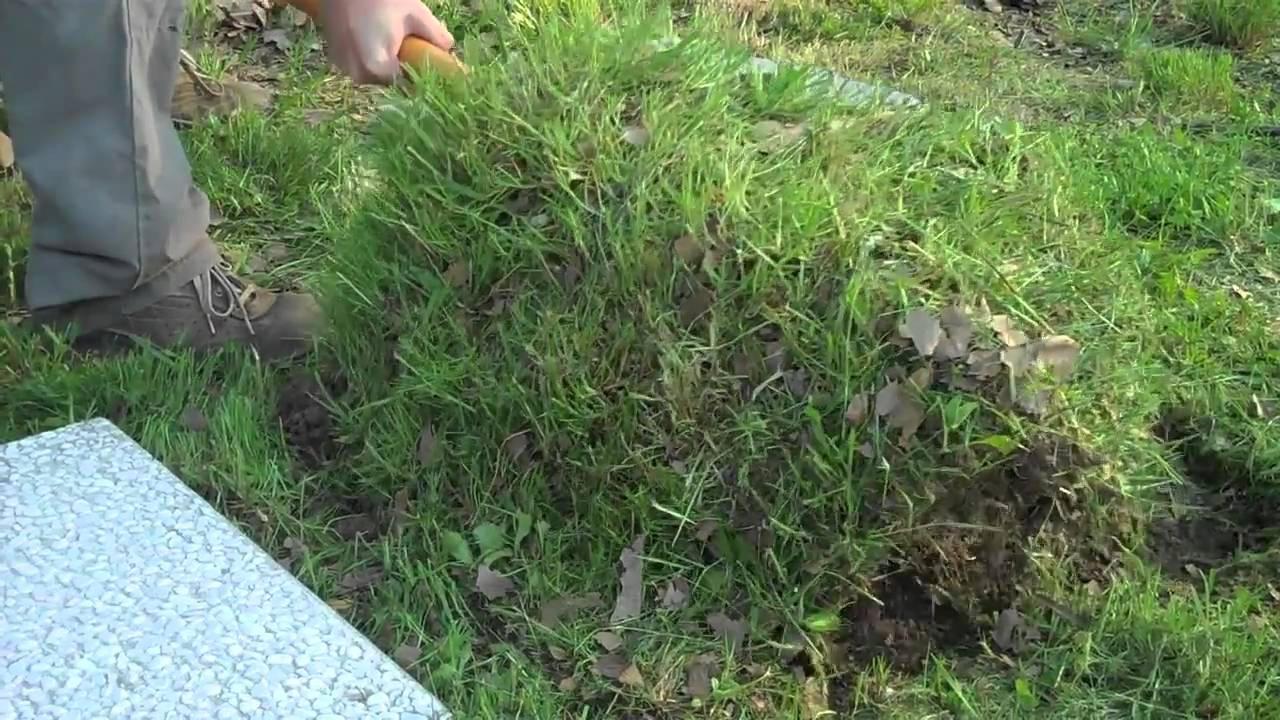 Portafedi fai da te: tutorial per cuscinetto fatto a mano ...