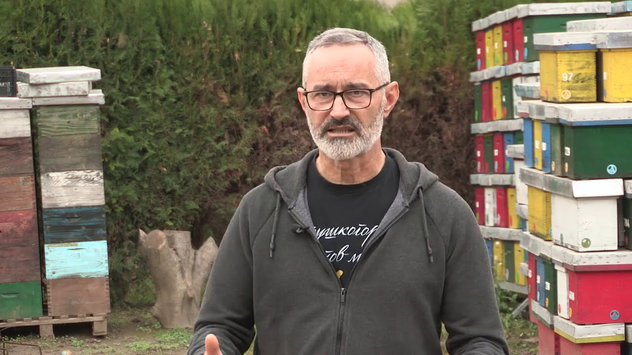 Boja meda ep. 144 08.12.2020. Faze razvoja pčelinjeg društva, pekarski med,  dr Rodoljub Živadinović