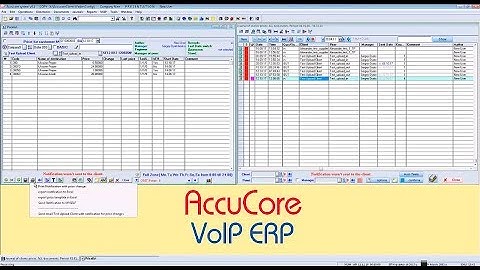 Accucore Telecom ERP system features - part 3