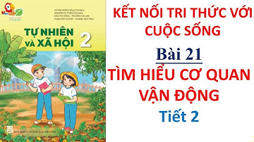TNXH 2 - Tuần 24 - Bài 21: Tìm hiểu cơ quan vận động | Tiết 2