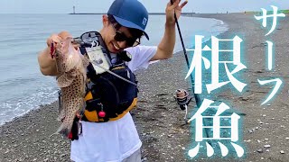 【SLS】サーフからメタルジグとワームと〇〇を使った根魚の釣り方
