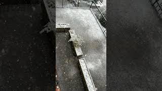 Snowfall in Bibbiena #viral #decemeber #travel #lifestyle #fireworks #shortvideos