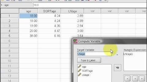 SPSS/PASW Statistics e-Tutorial - Reciprocal Transformation