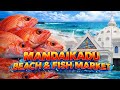 Fish Market Beach #fishing #fishingvideo #beach #fish #travel