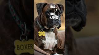 The FUNNIEST Pet Naming Trends EVER!