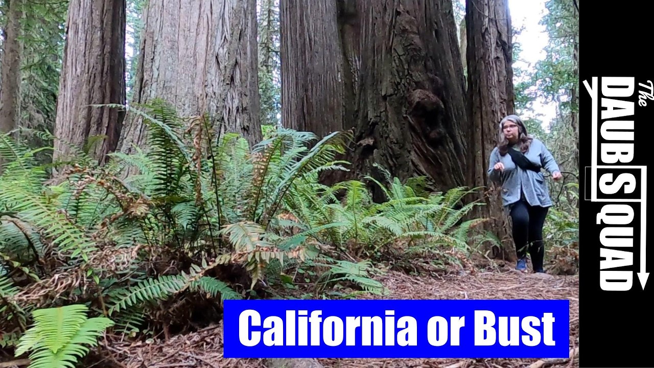 Калифорния или ничего — с командой DaubSquad