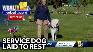 Service dog honored, laid to rest