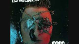 Video thumbnail of "The Wildhearts - Greetings from Shitsville"