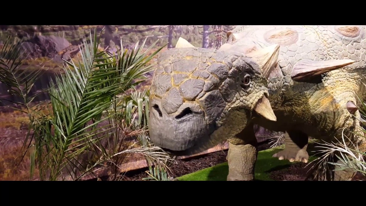 Centre For Life - Information Technology