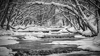 Zimowe Szumy Na Tanwi