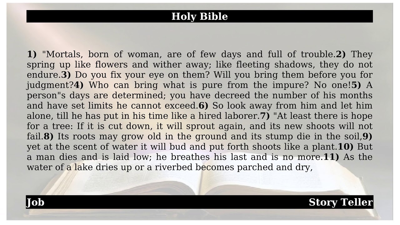 Job - Chapter 14 | The Holy Bible - YouTube