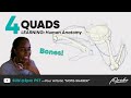 PROKO Anatomy: Drawing the GESTURE in Real Time! QUADS - PART 4
