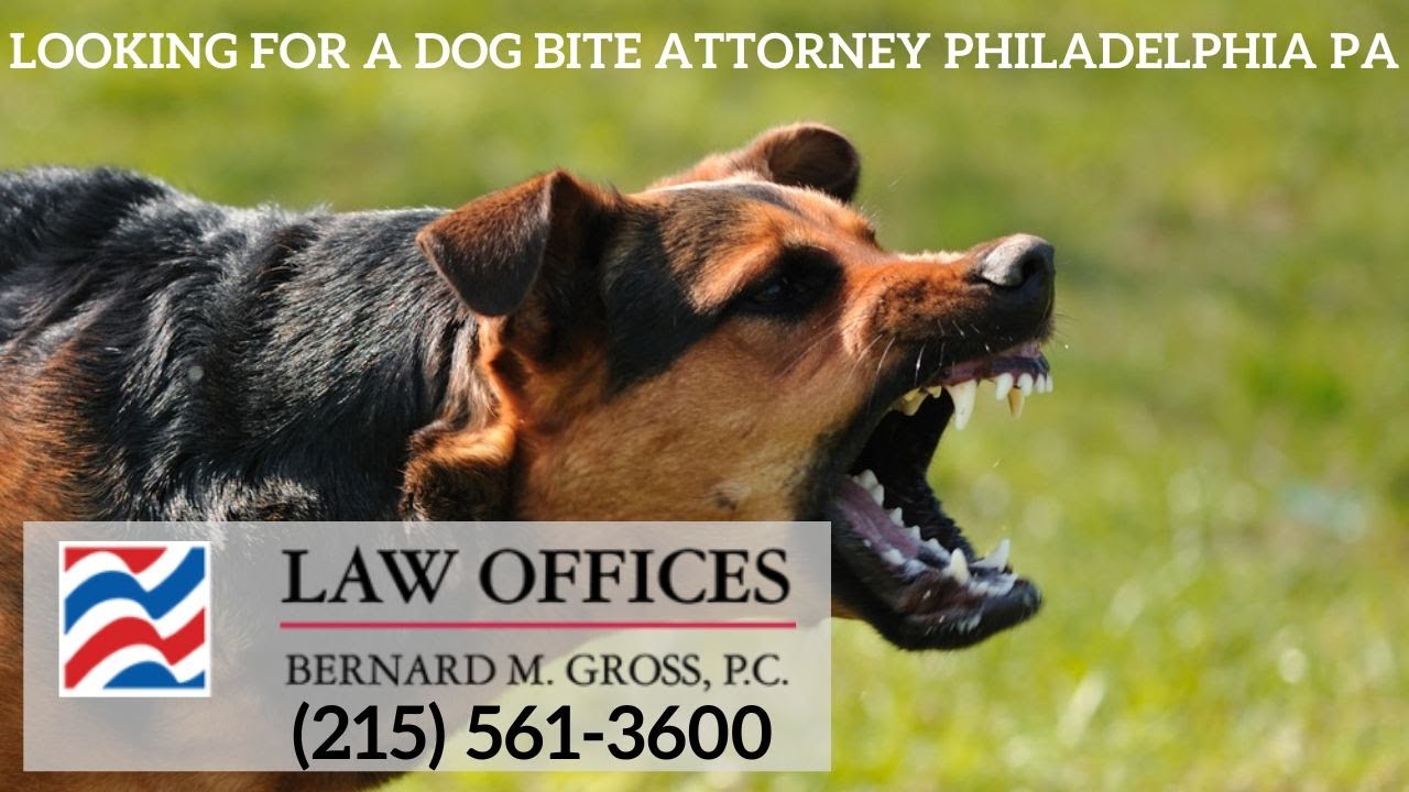 Pet Dog Bite Law In India