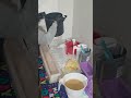Cold process soap making