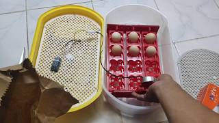 JZX-IR12 DIY-automatic 12 capacity eggs incubator( how to incubate eggs)