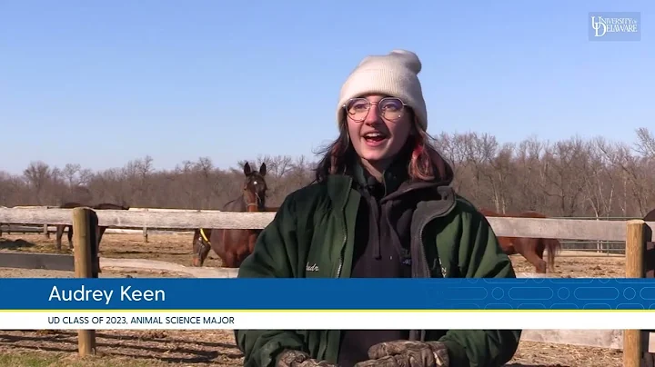UD animal science major takes the reins on equine career goals