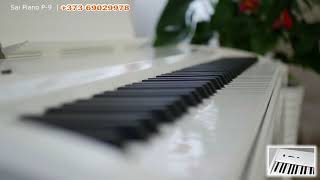 Цифровое пианино Digital Piano P 9,