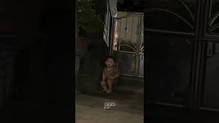 cuu bangett ntenn😭🤏🏼#ken #opet #gwsm #fypシ゚viral #lewatberanda