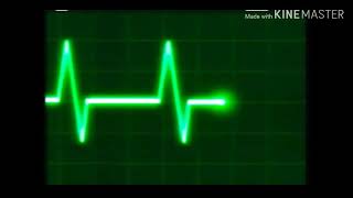 Dr. Dolittle - Teaser And Theatrical Trailer And Tv Spots 1998.