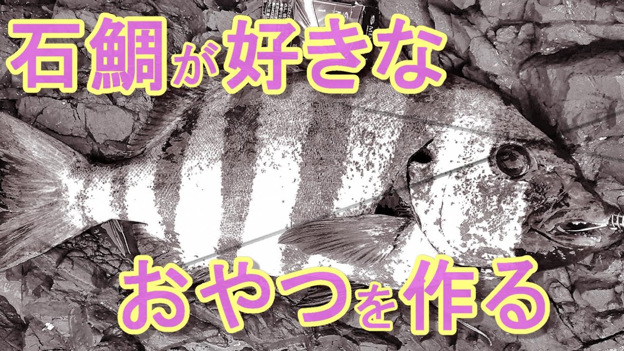 【石鯛餌】３種類の加工方法を試しました。ノッコミ春磯突入。エサの常備でチャンスつかもう！餌の心配がなくなりました。