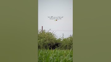 رَبِّ هَبْ لِي حُكْمًا وَأَلْحِقْنِي بِالصَّالِحِينَ|سورة الشعراء | القارئ أحمد عبد الحي.