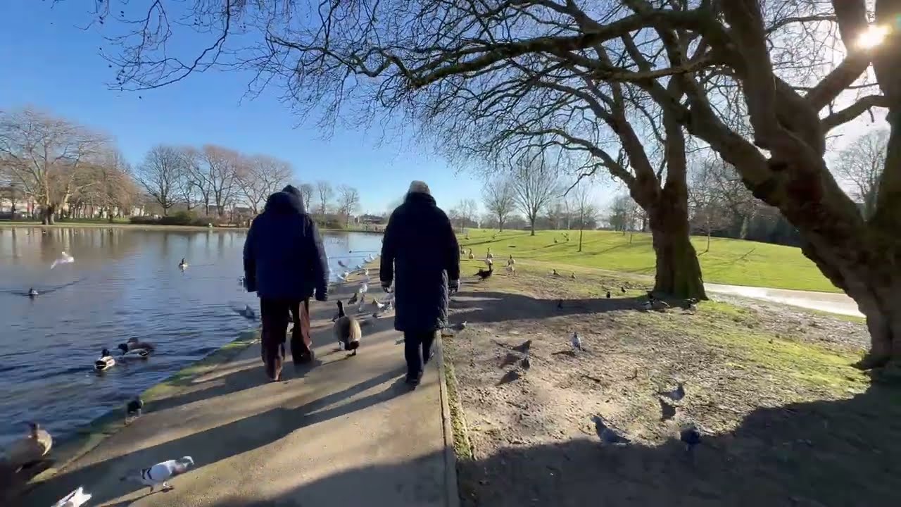 Nature Therapy: Feeding Birds in the Park