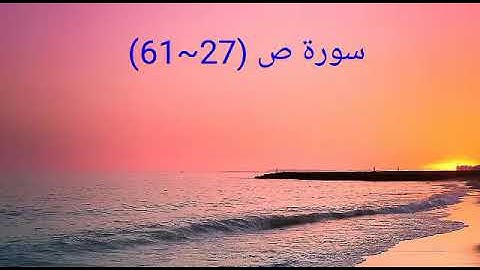 رعد محمد الكردي | تلاوة رائعة رائعة جداً.. ماتيسر من سورة ص (27~61)